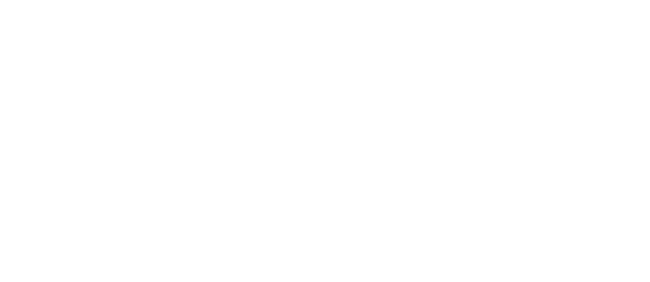 Actarus Press Logo-WIDE.png