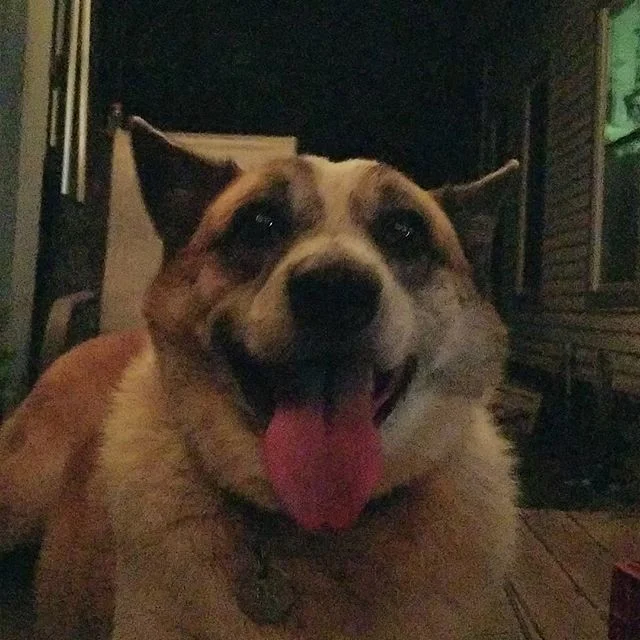 What a goof