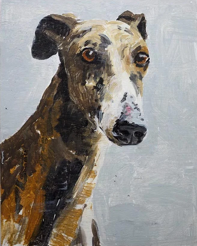 greyhound_20x16.jpg