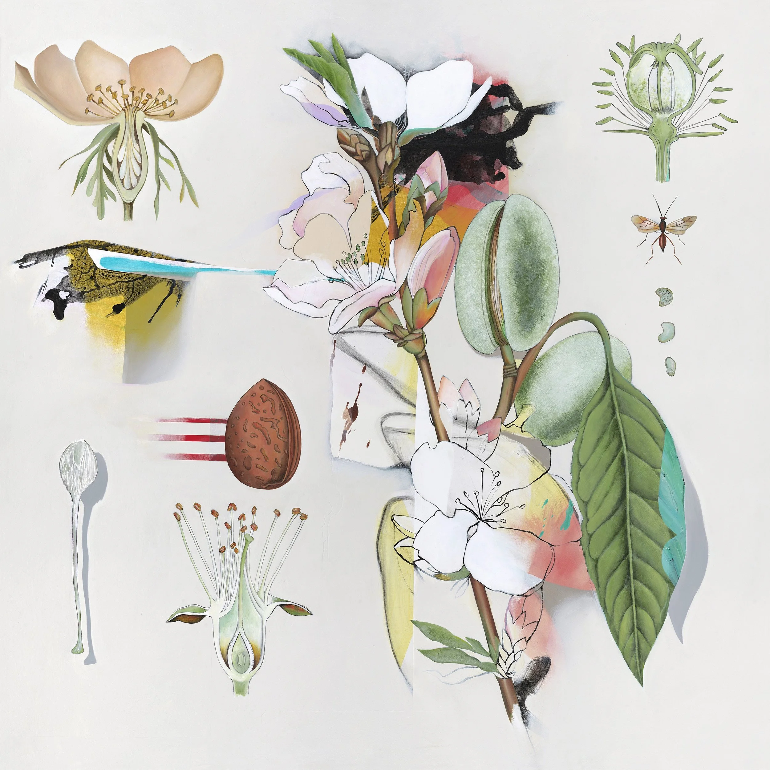 Ackerman 2019 Herbaria 60x60in.jpeg