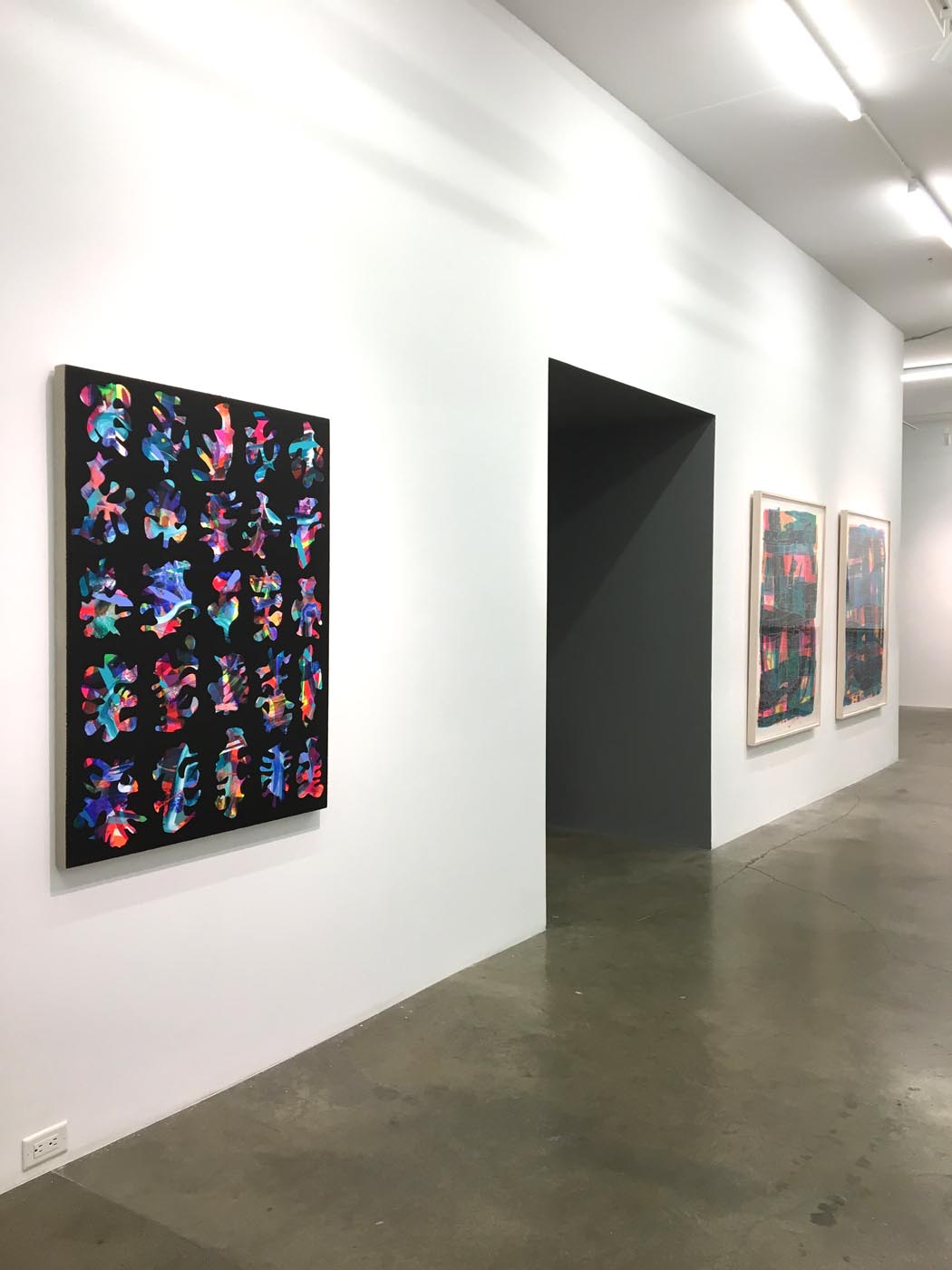 Installation view, So Fast, So Still , September, 2019.