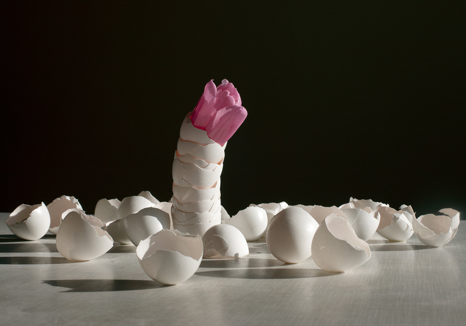 “Eggshells, Janus Series”, 2020, archival print, 17 x 23 inches (framed), edition of 7 + 1 AP.