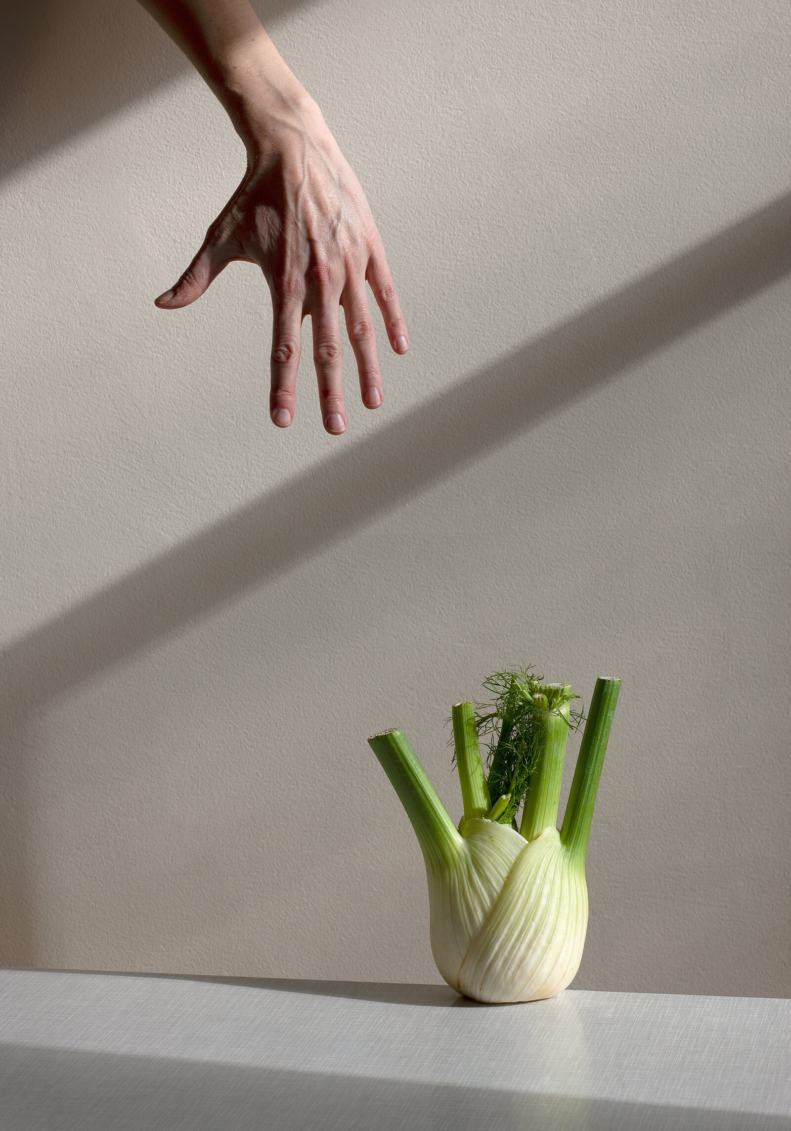 “Fennel, Janus Series”, 2020, archival print, 17 x 23 inches (framed), edition of 7 + 1 AP.