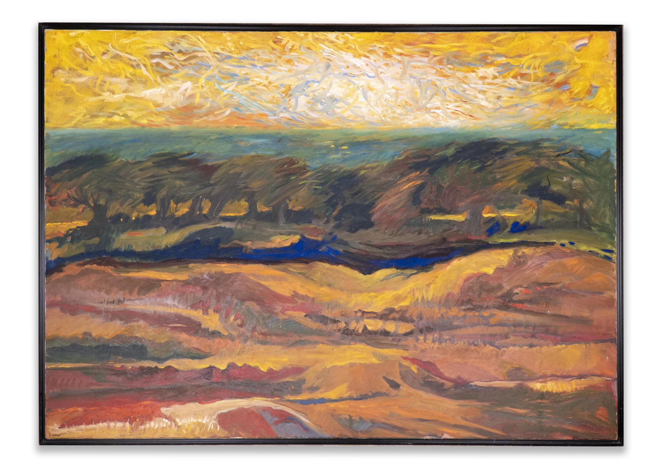  Yehouda Chaki, Heartland 0108, oil on canvas, 50 x 70 inches (canvas size).  