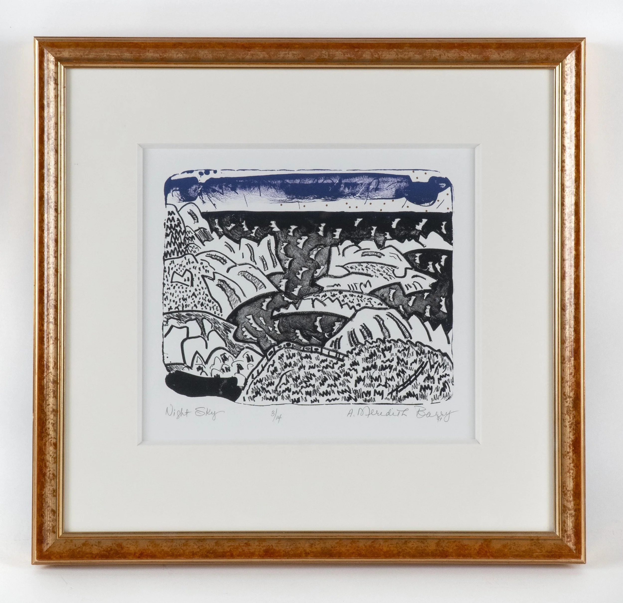  Anne Meredith Barry, Night Sky, 1991, print, 9 x 11 inches image size, edition # 3/14. 