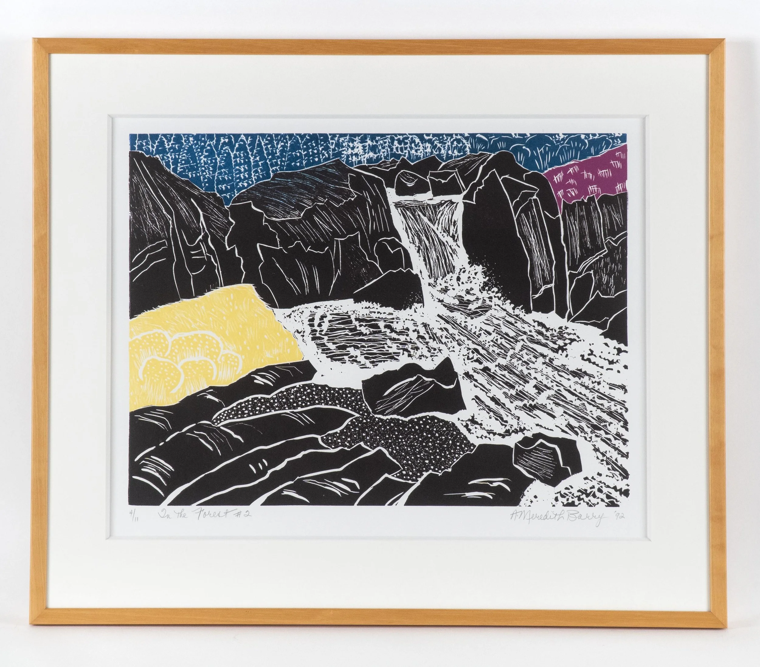  Anne Meredith Barry, In the Forest #2, 1992, woodblock print, 18 x 24 inches image, edition # 4/11. 