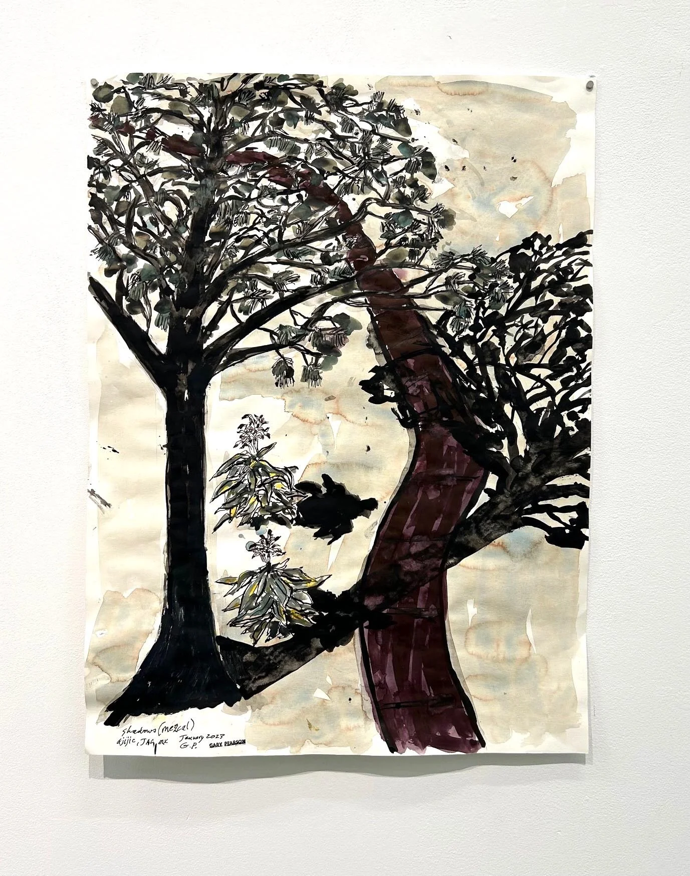  Gary Pearson, “Shadows (Mexcal)”, 2023, watercolour, 24 x 18 inches.    ENQUIRE   