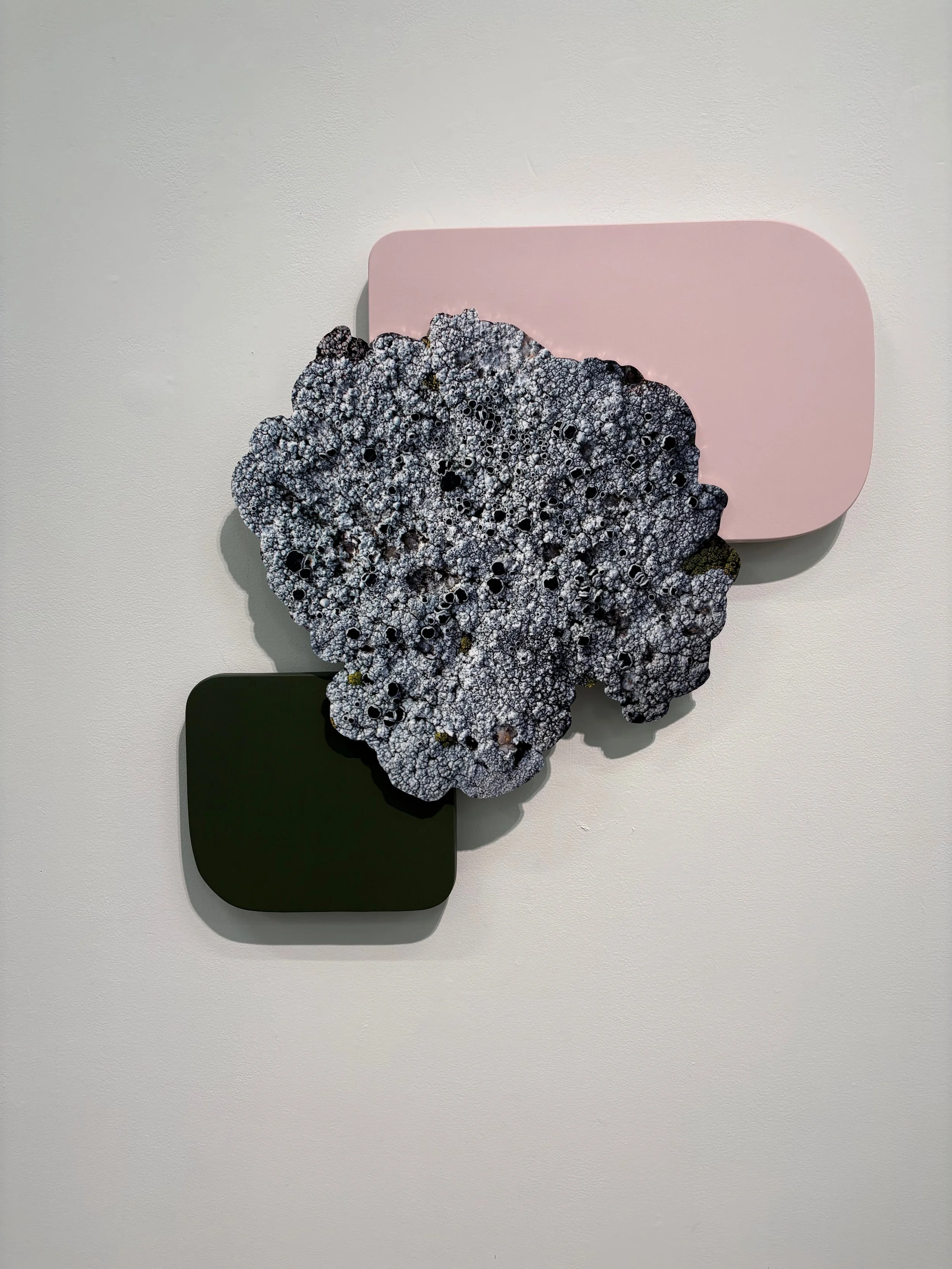  Fei Disbrow, “Complimentary Easy”, UV sublimation print on composite aluminum, painted wood, 22 × 22 × 2 inches.   ENQUIRE  