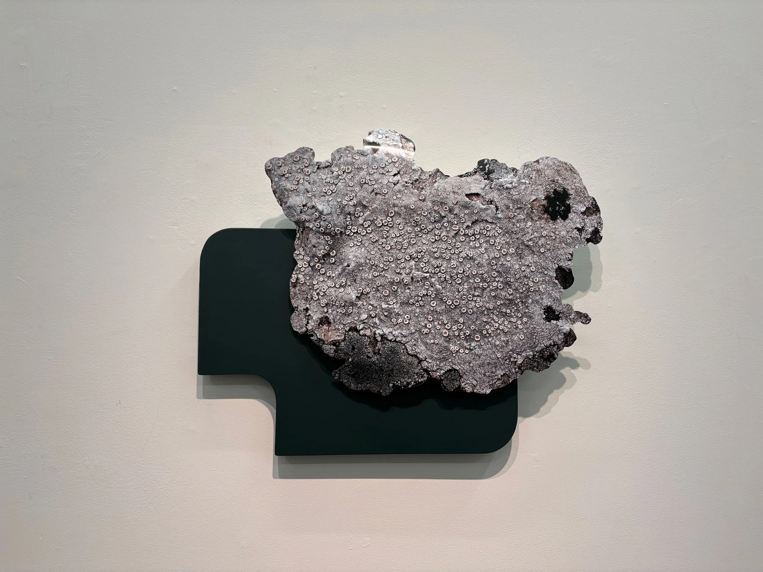  Fei Disbrow, “From the Land of Maybe”, UV sublimation print on composite aluminum, painted wood, 17.5 × 21.5 × 2 inches.   ENQUIRE  