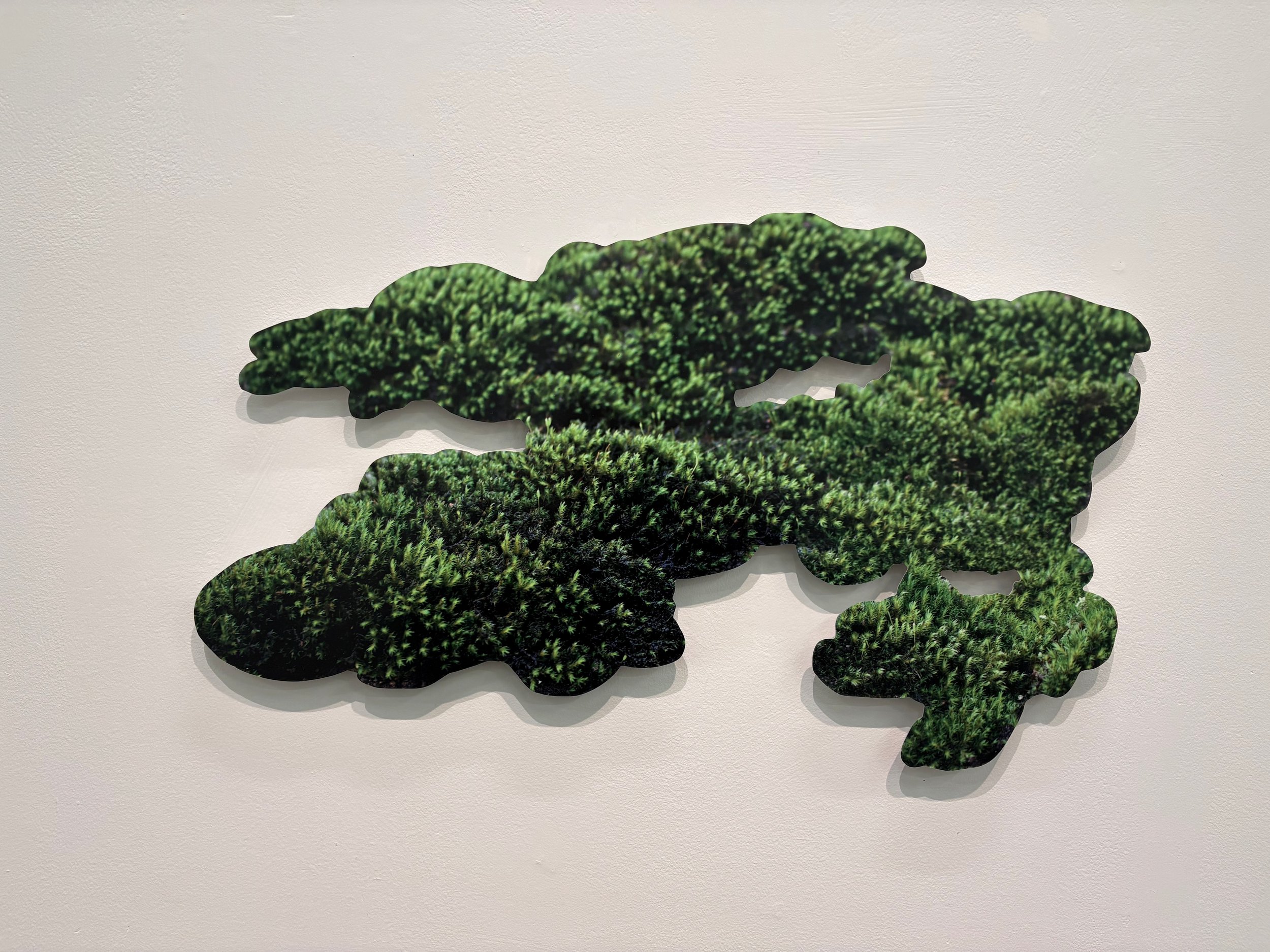  Fei Disbrow, “Through Our Breath”, UV sublimation print on composite aluminum, painted wood, 14 × 24 × .75 inches.   ENQUIRE  