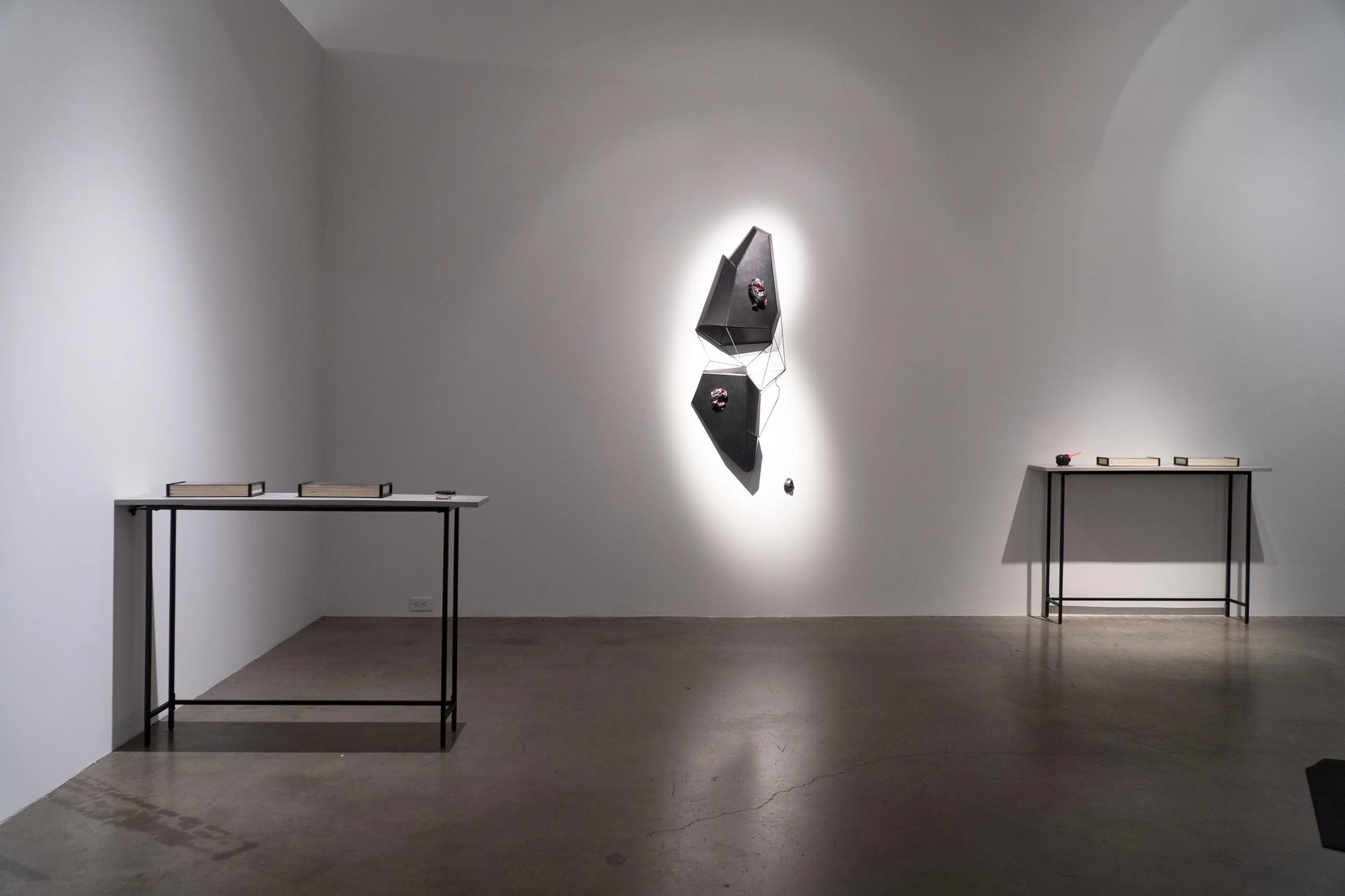  “A World Without Us”, exhibition view, Gallery Jones, October 2026. 