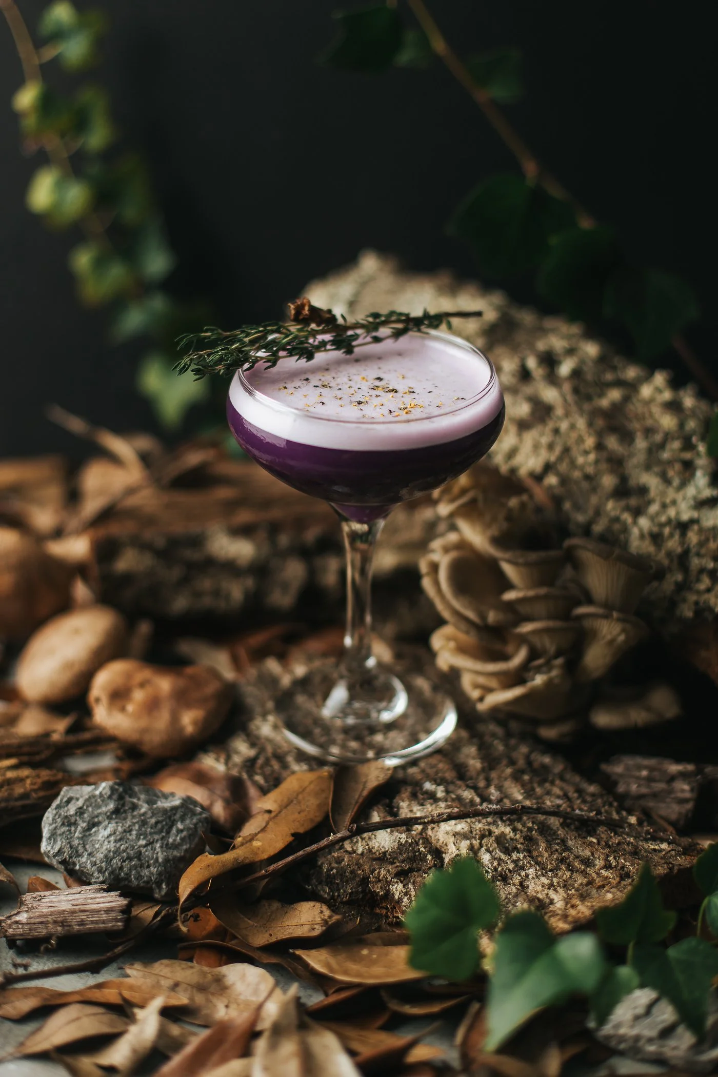 GeorgeBistro-2023-1005-EmilyVeal-29.jpg