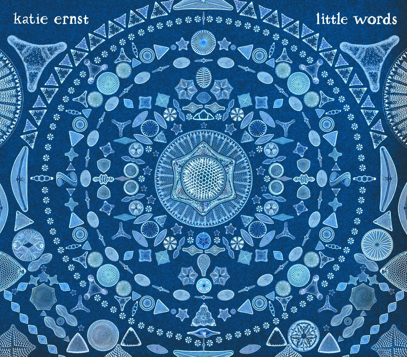 Little Words Cover small.jpeg