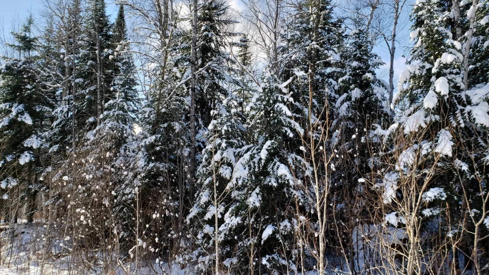 WhatsApp Image 2018-11-23 at 8.14.57 PM(7).jpeg