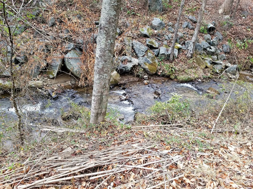 26010812_5.jpg