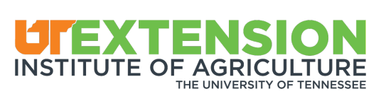 UT Extension.png