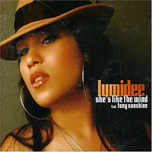 lumidee shes like the wind.jpg