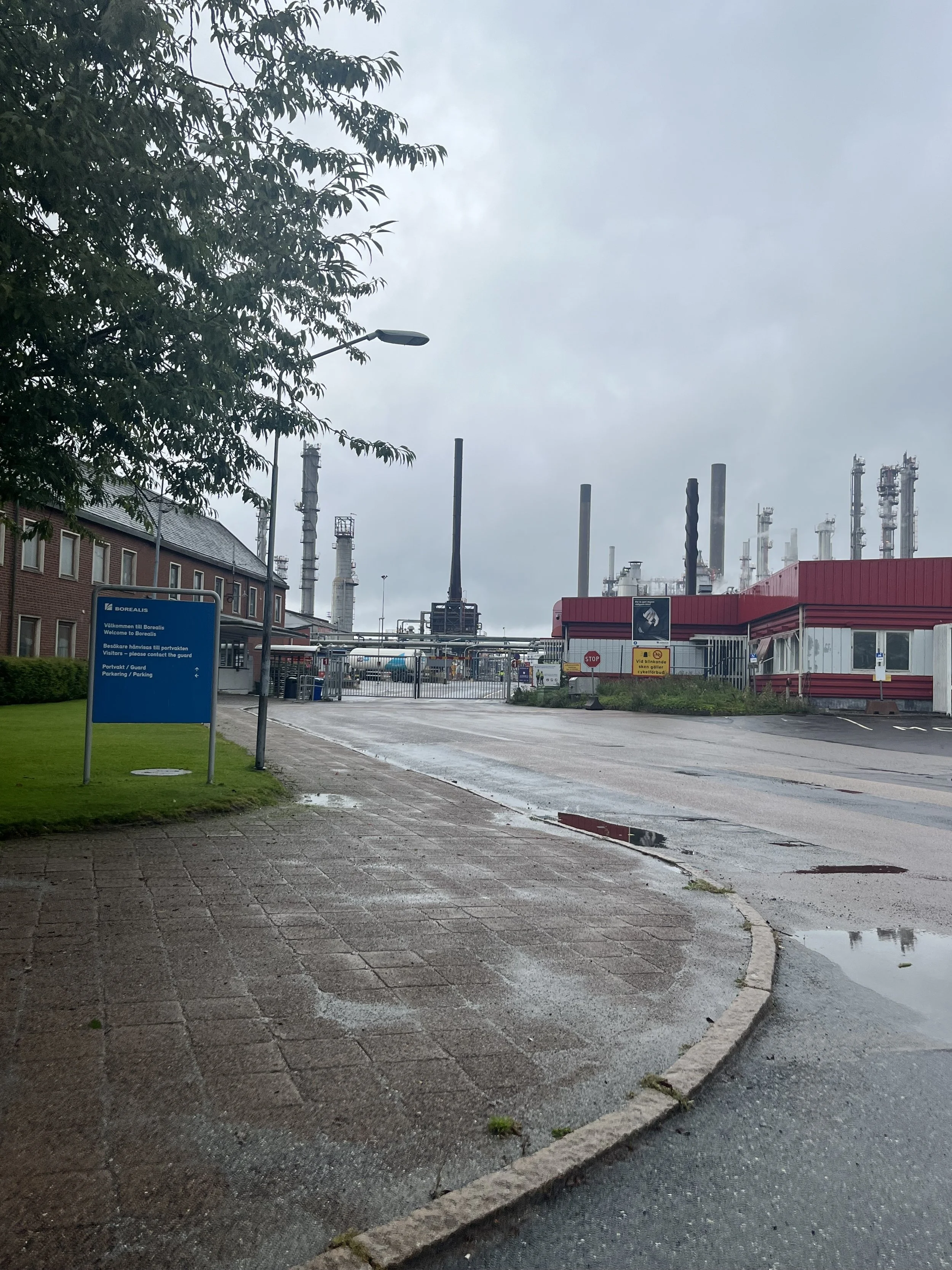 SWE plant.jpeg