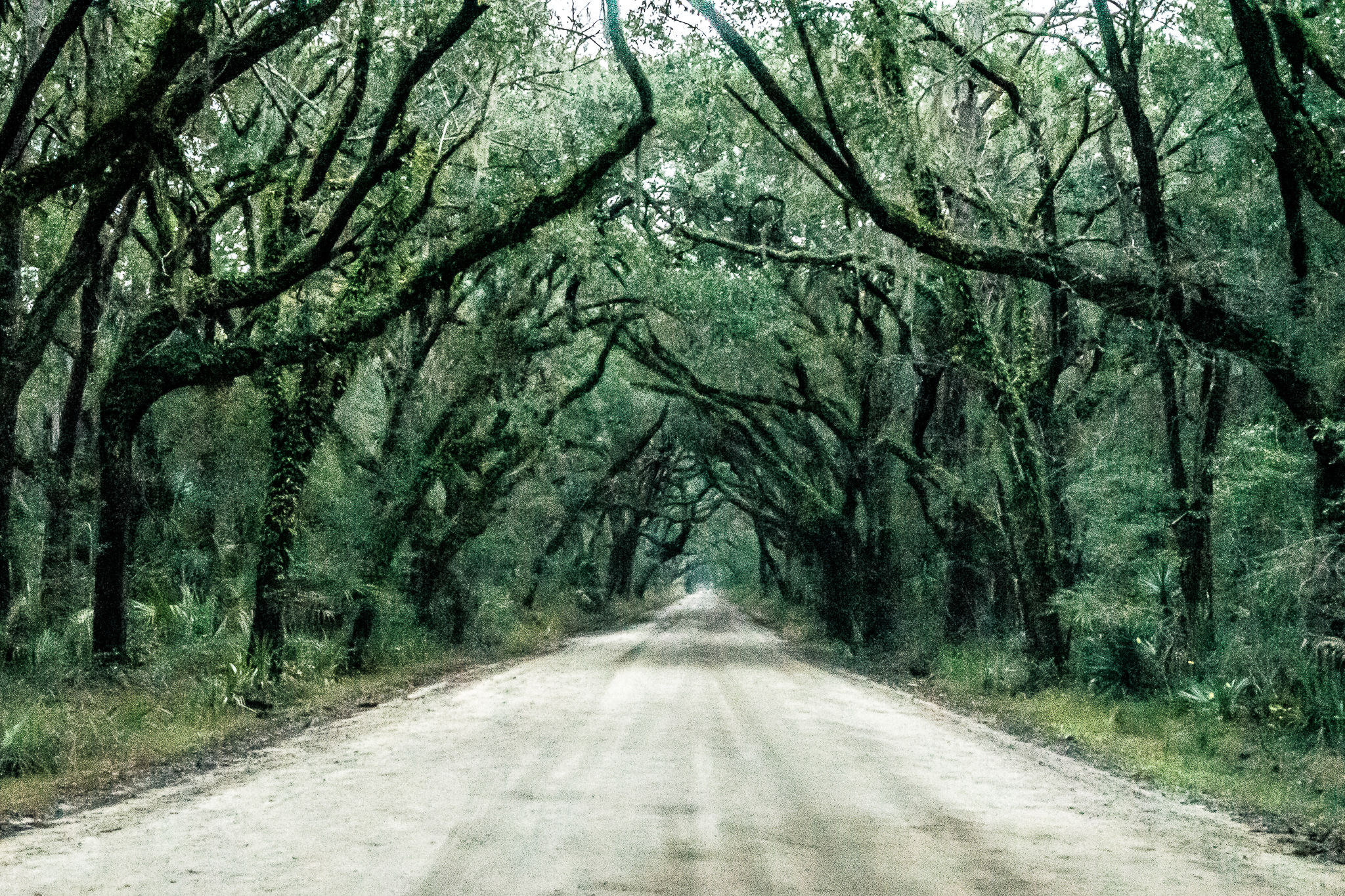 Nature_017.jpg