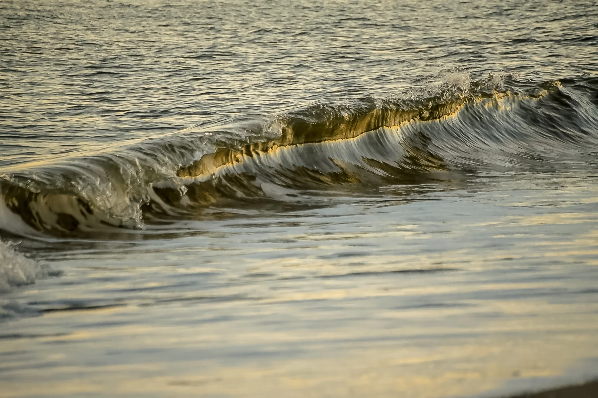 Nature_012.jpg
