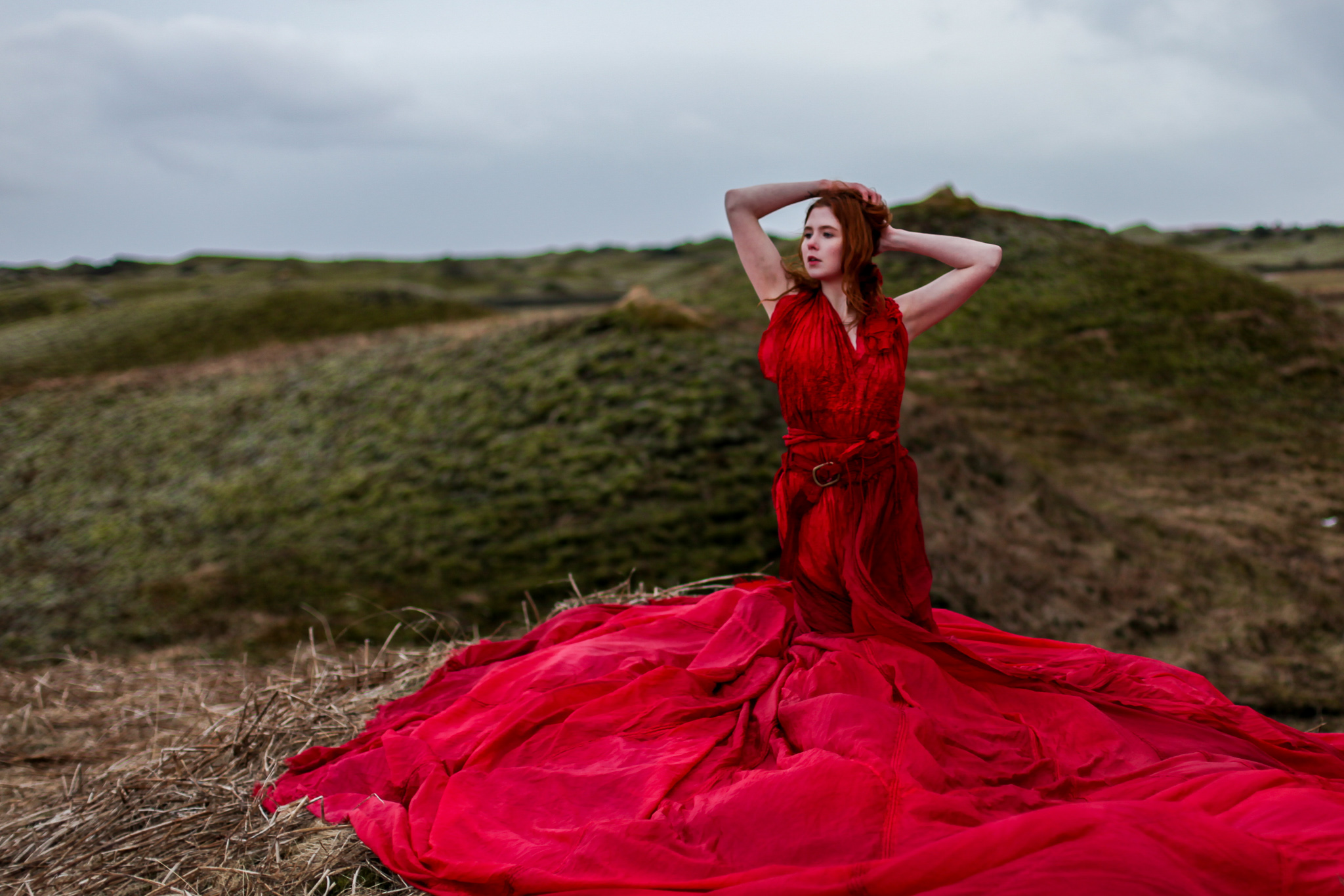 Red_Queen_sm__4399.jpg