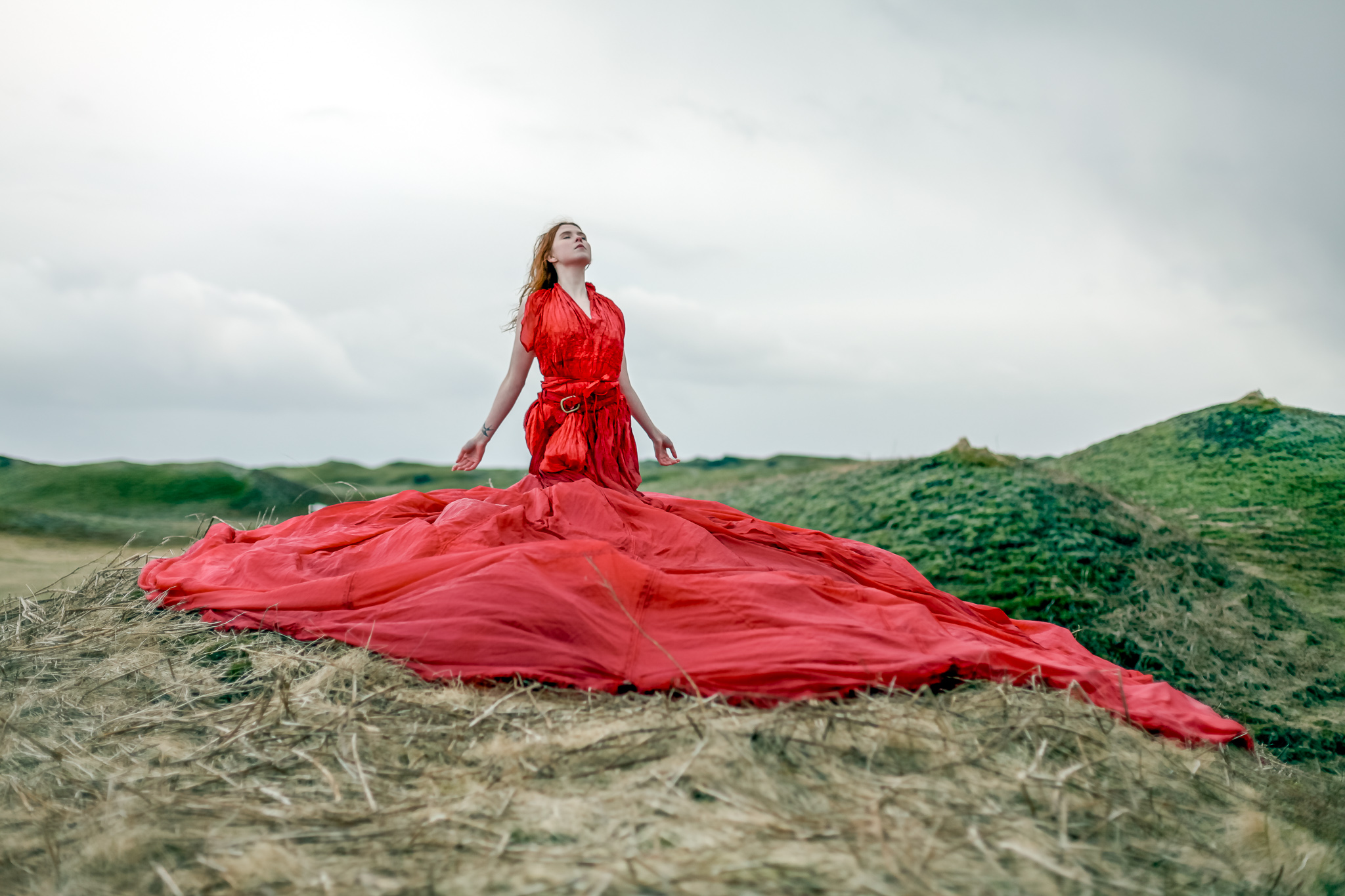 Red_Queen_sm__4408.jpg