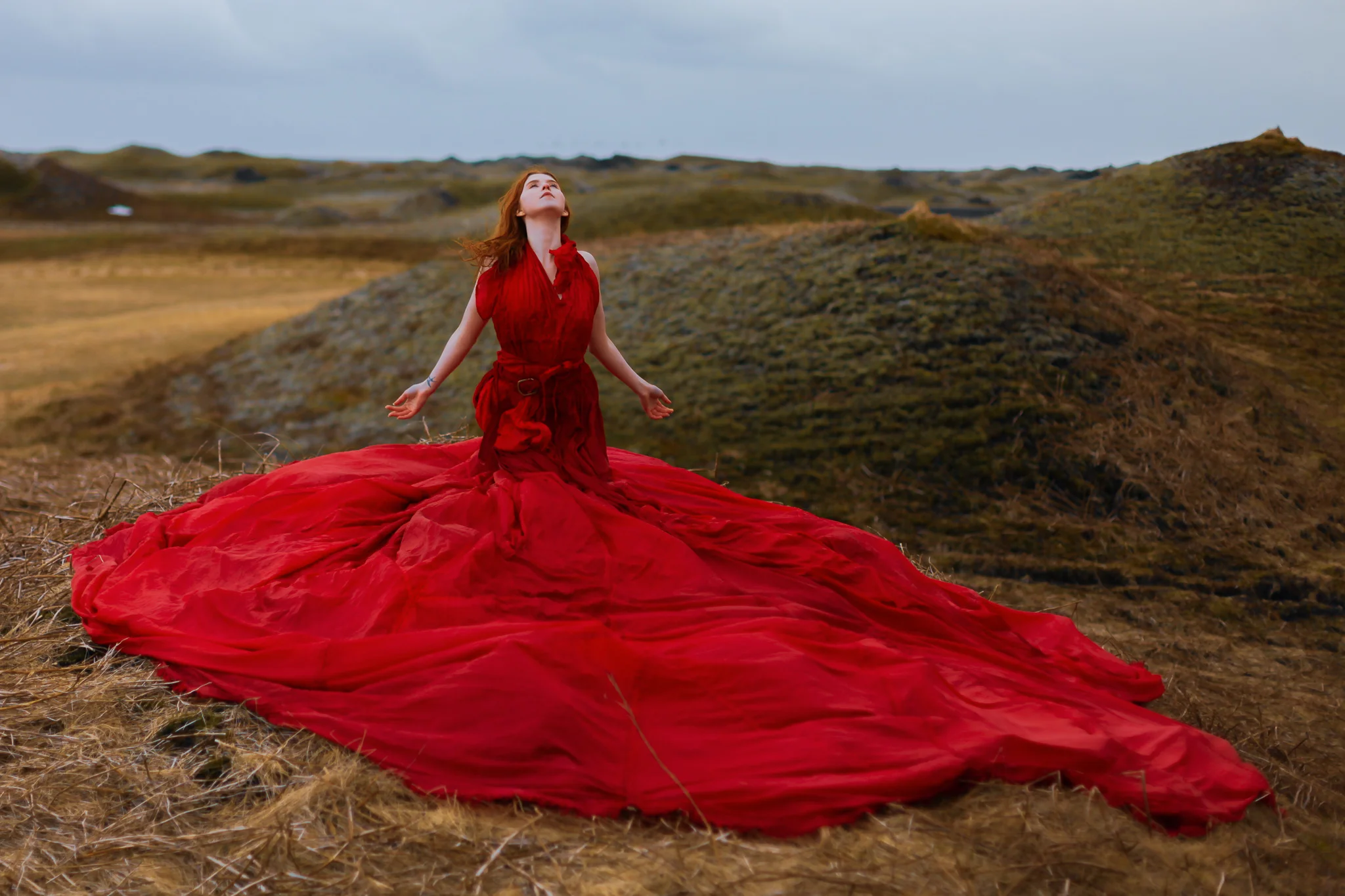 Red_Queen_sm__4403.jpg