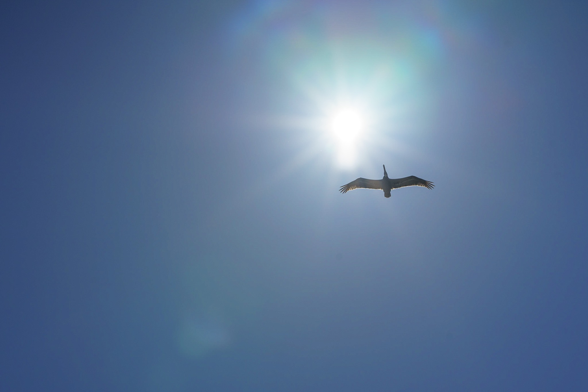 F9D8454D-9127-4F59-A2B0-D50A87E53D02.jpeg
