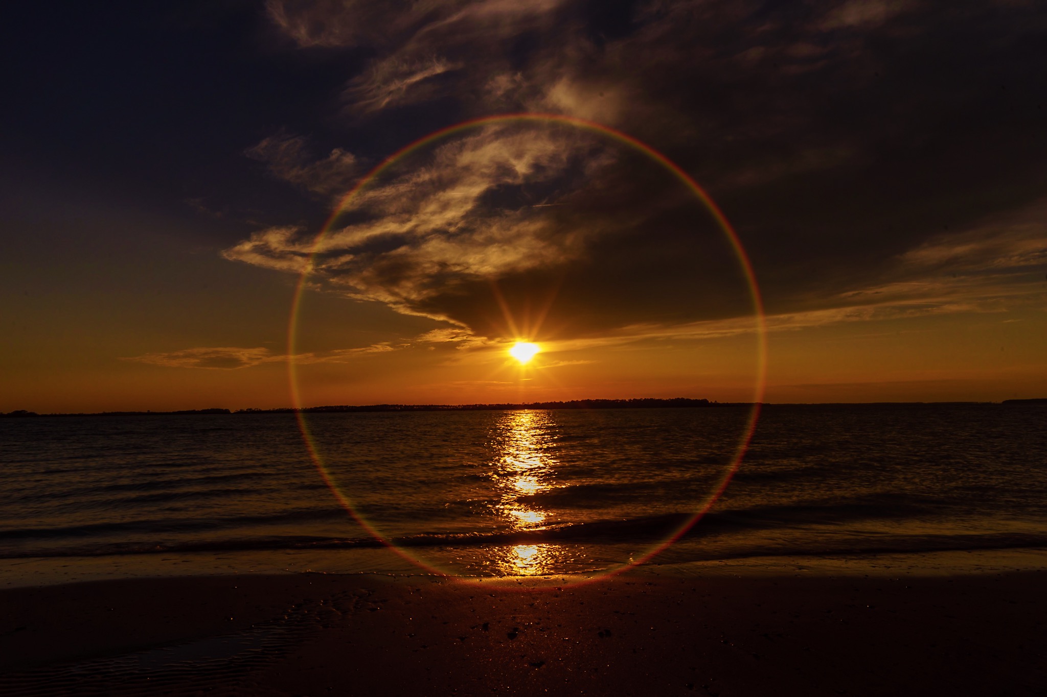 074C3E21-B0BC-4EA6-AE4D-D1410037FBC8.jpeg