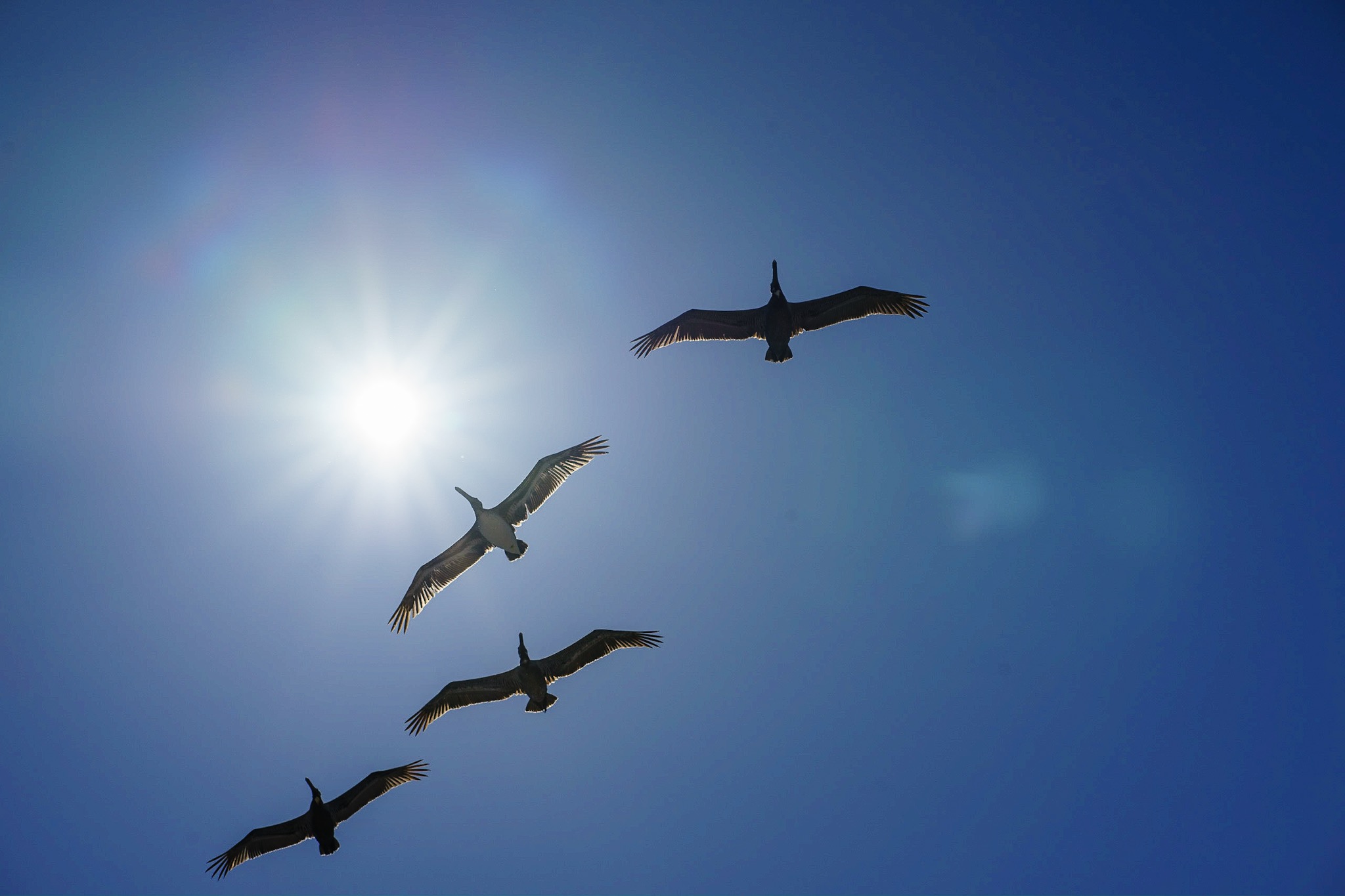 3766CE5B-DC37-4F5B-8E5B-1B21C6C622D8.jpeg