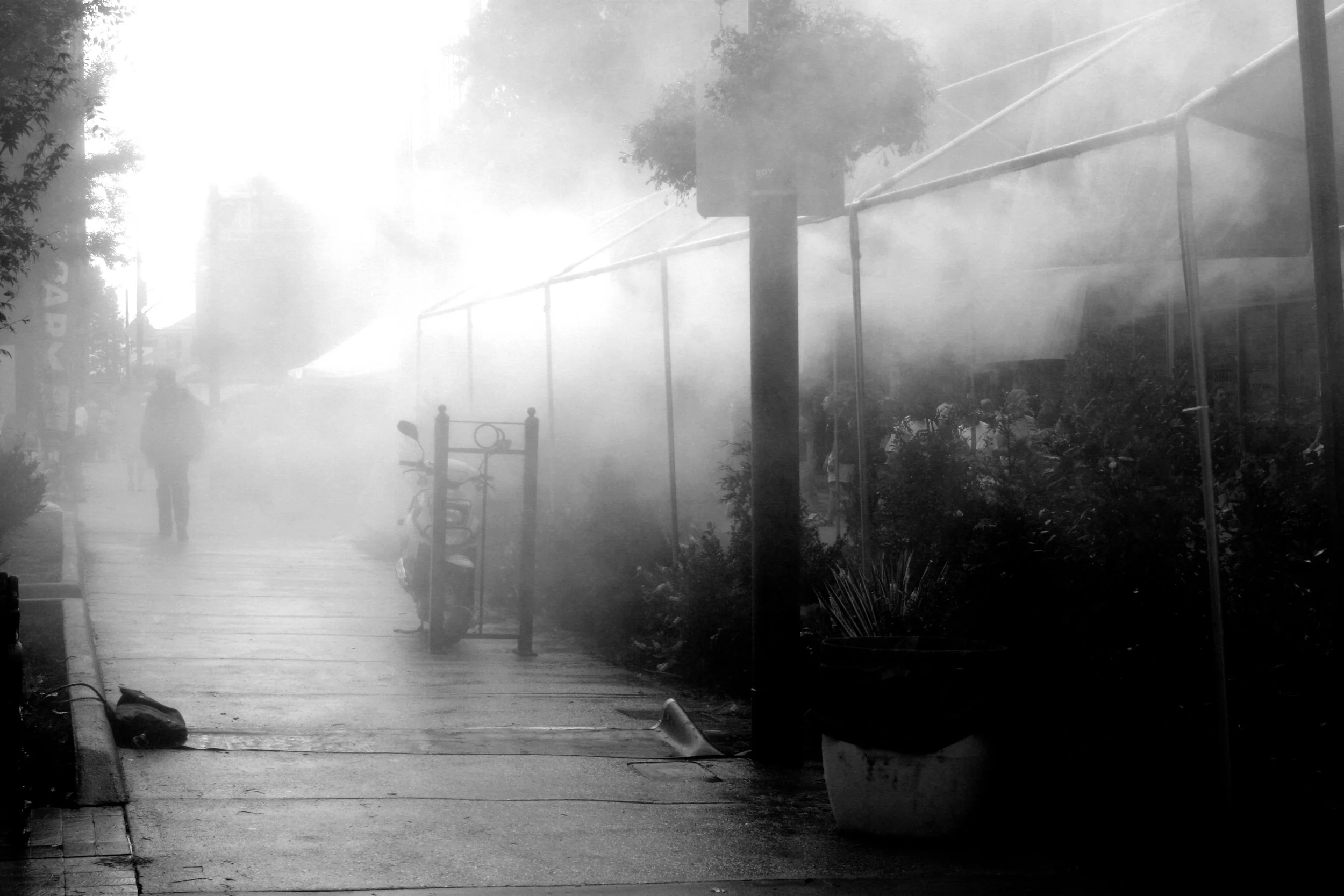 Belle_Chere 2011.jpg