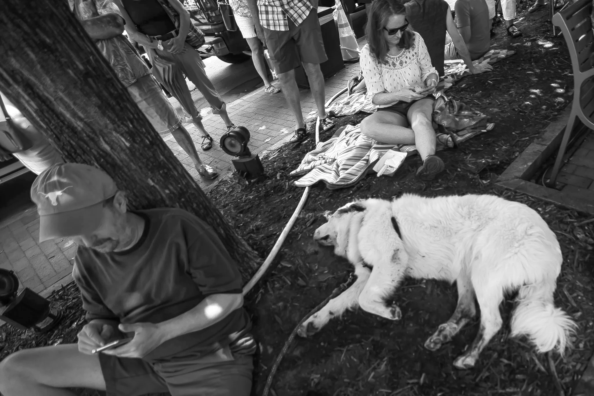 Leaf2019_5595dogday.jpg