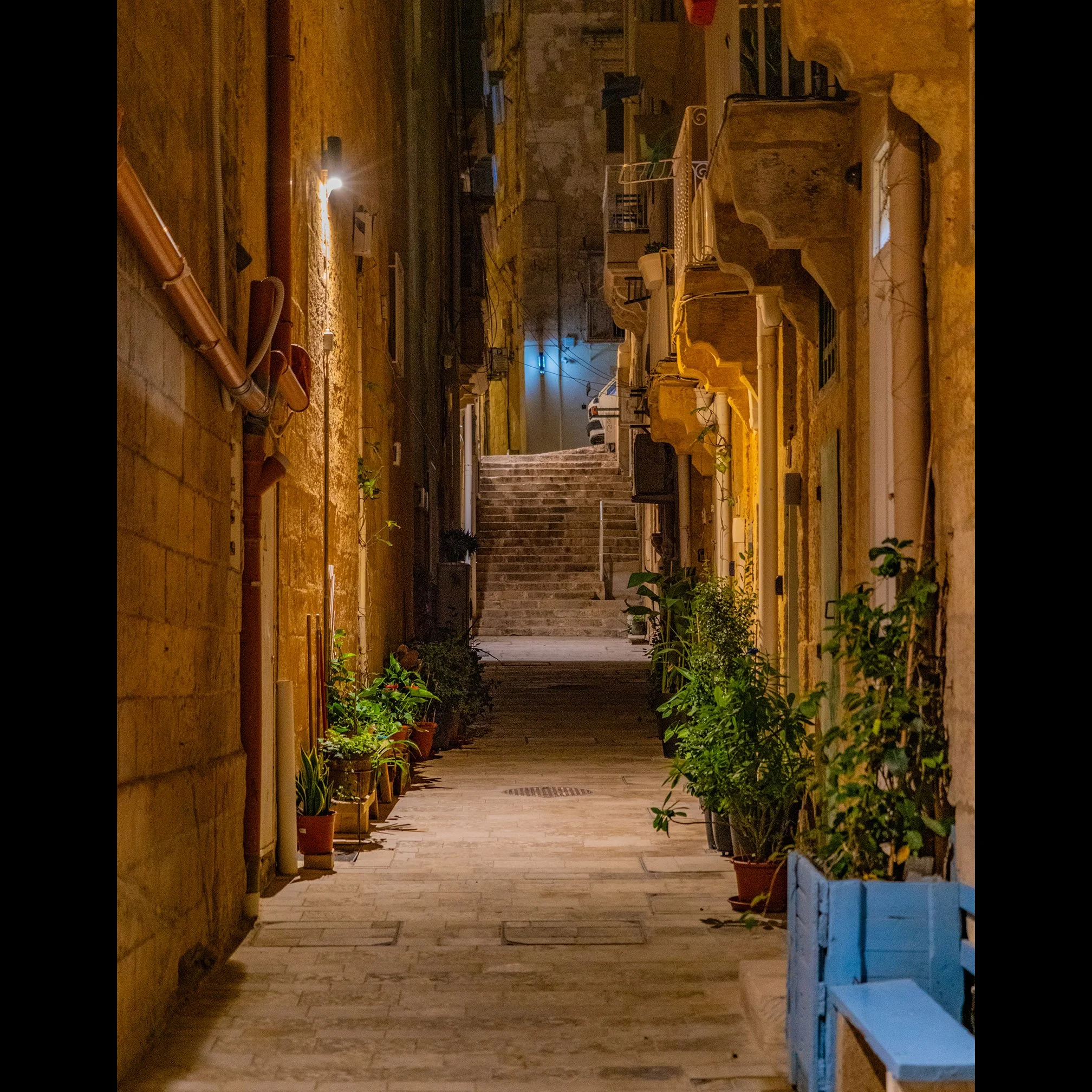 St. Anne St._9217-1ig.jpg