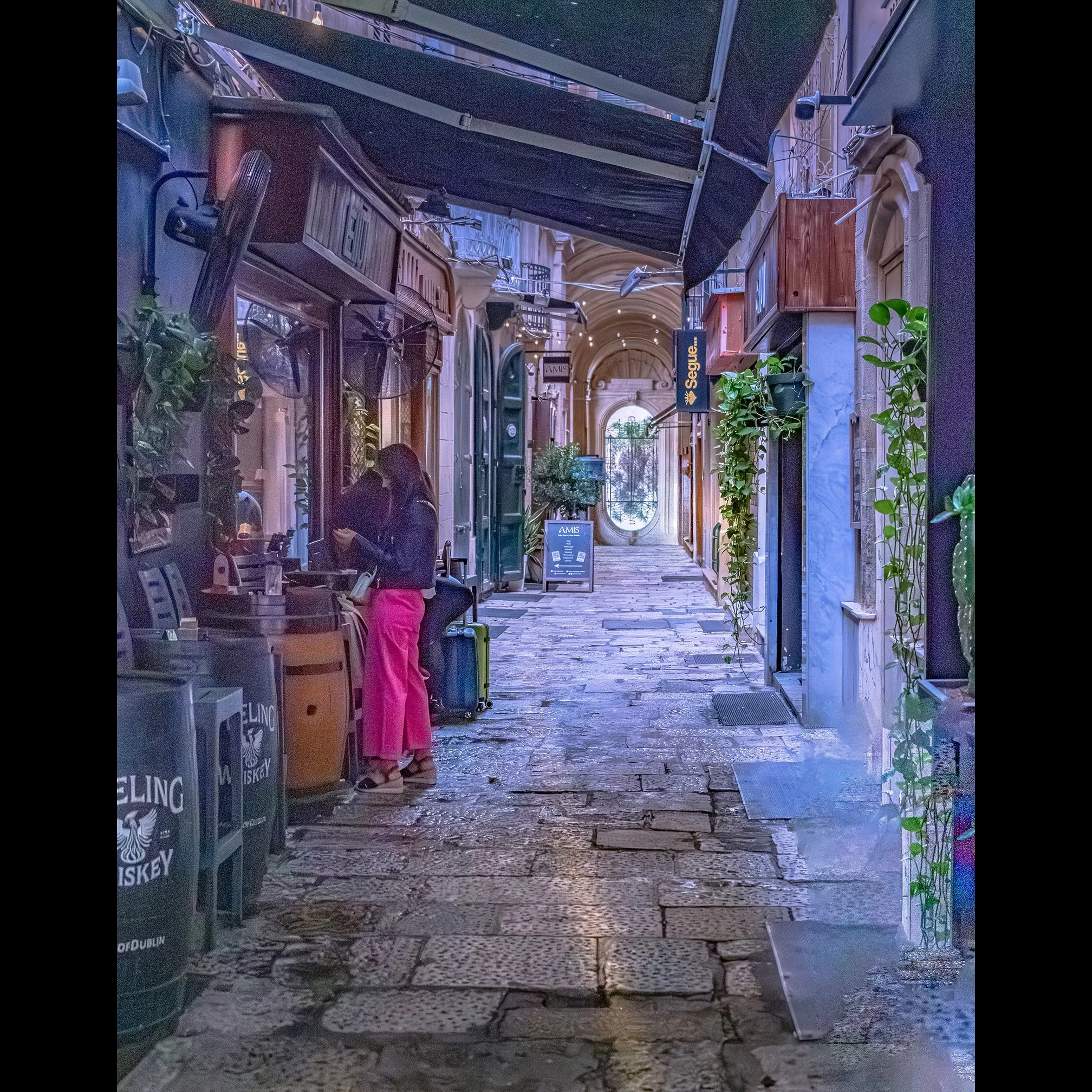 Street Shopper 9252-1ig.jpg