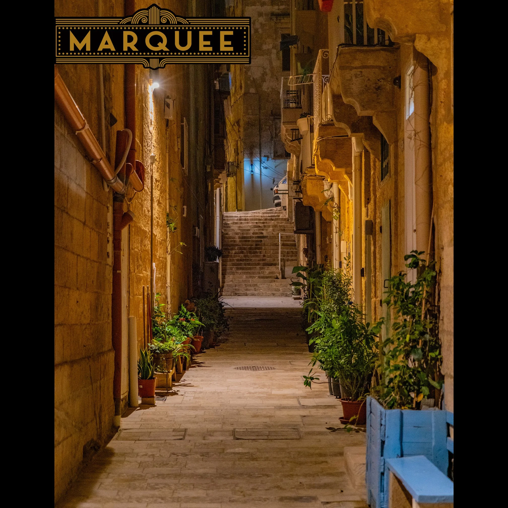 St. Anne St._9217-1ig.jpg