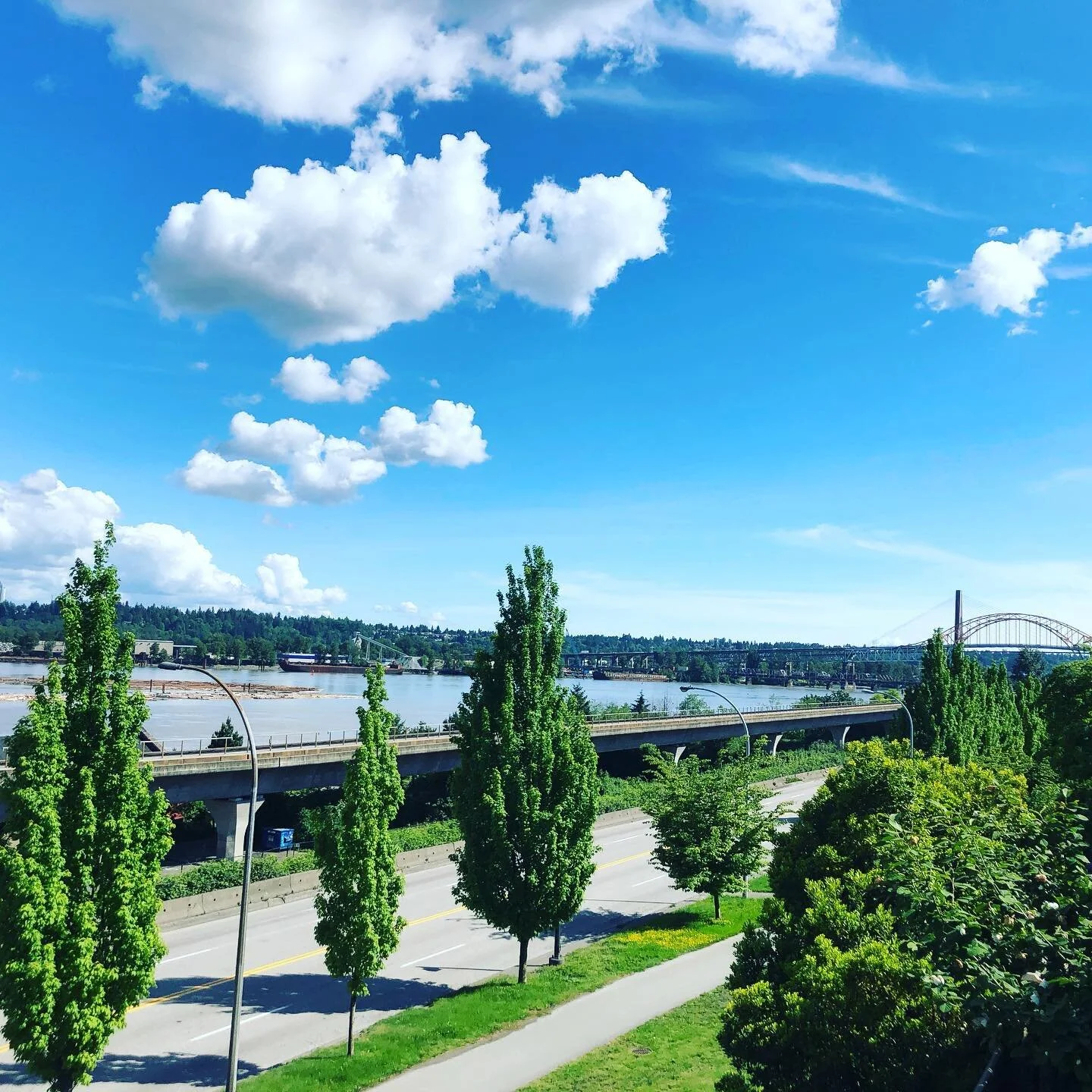 How nice to look out through the deck!! Who said stayed at home isolated yourself  was so depressed. I have the mood to  chat with parents ,brothers and kids together through Zoom. We were all so busy before and COVID19 made us slower treasured the m