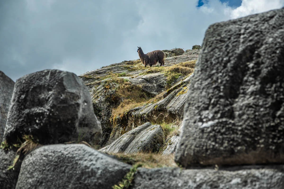 Peru 02