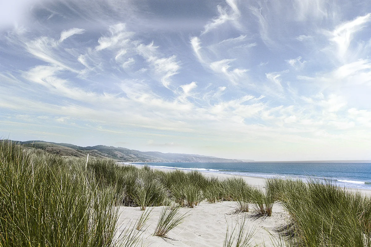 The view from Limantour Beach looking out over the pacific.
