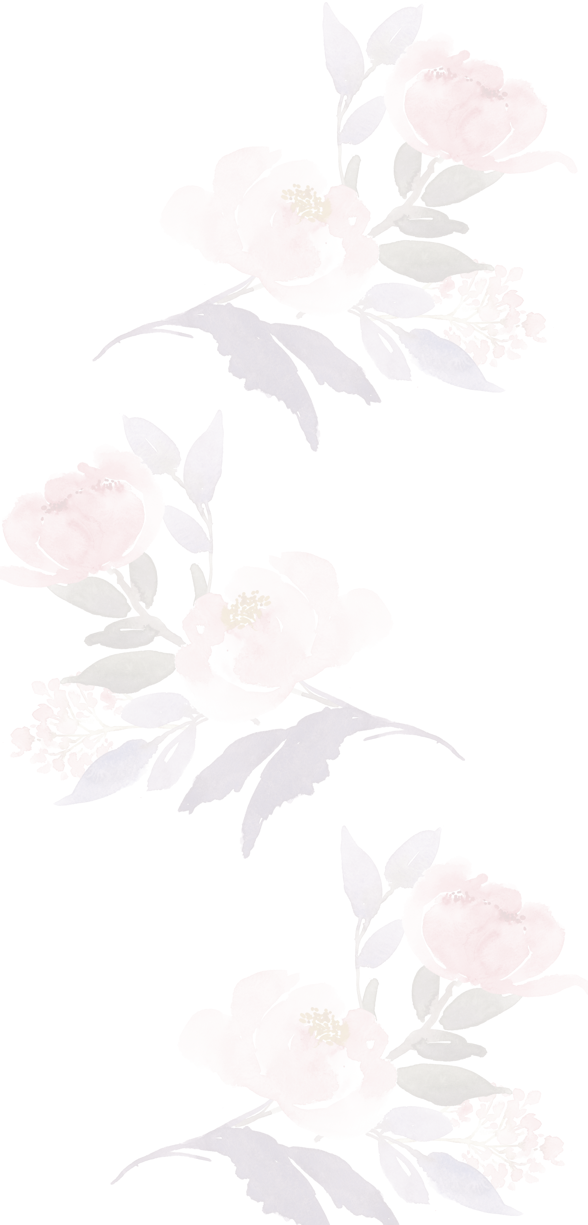 Table & Co Website Background (1).png