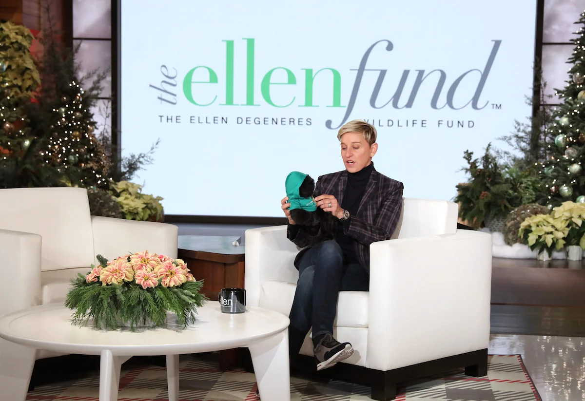 ellen gorilla stuffed animal