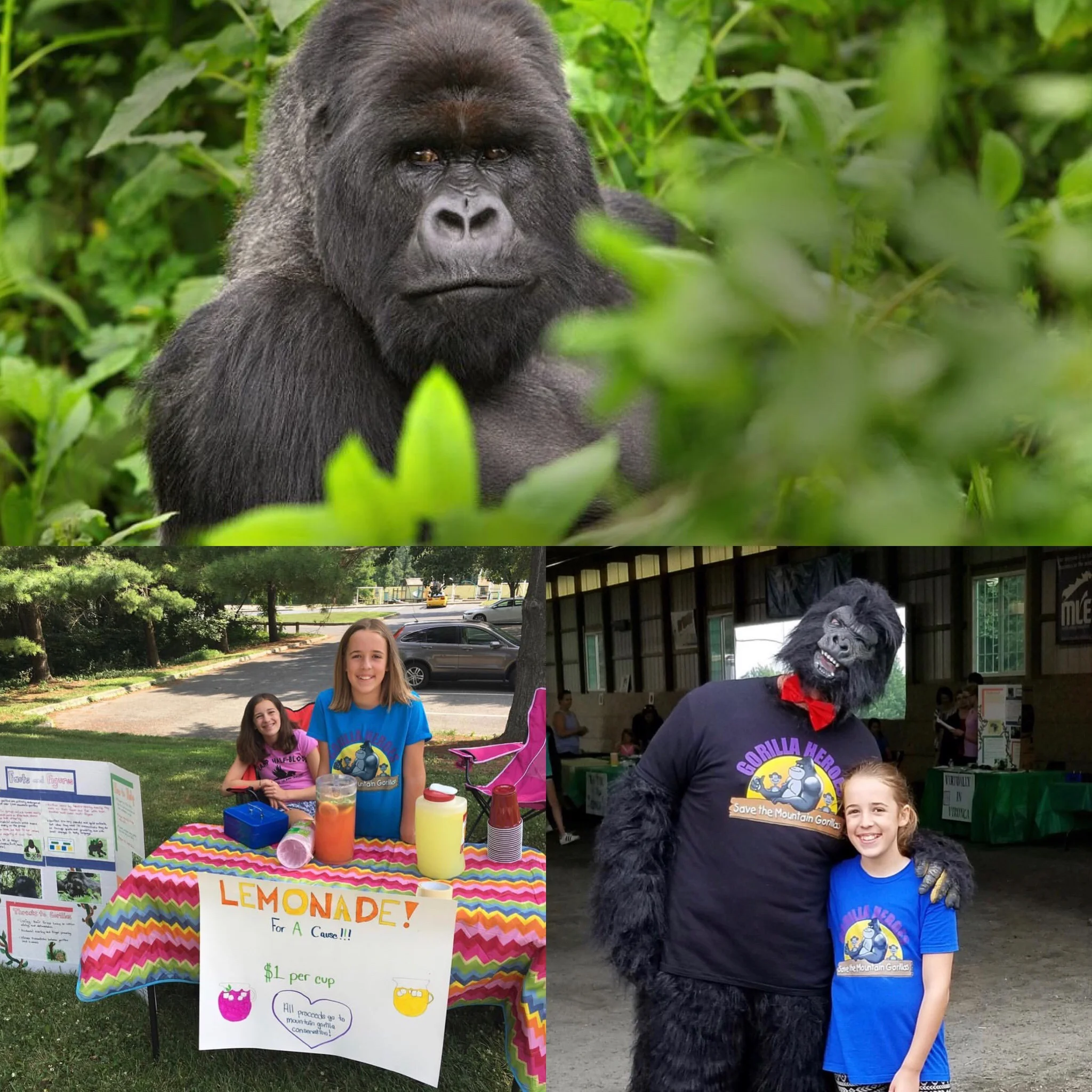 Addy fundraising pics.jpg