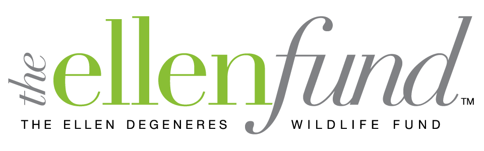 Ellen Fund-Logo_RGB.png