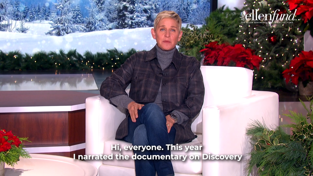 Endangered Campaign — The Ellen Fund (Ellen DeGeneres)