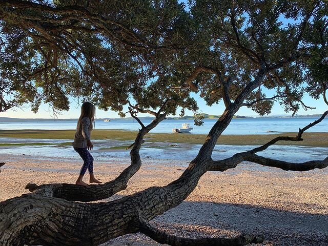 Balance and co-ordination - Two of the many benefits of a consistent Pilates practice. Something that is developed and practiced so effortlessly as a child. 💫