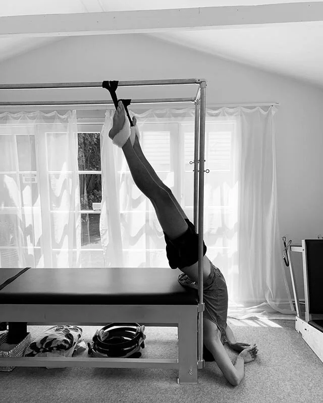 Have loved &lsquo;hanging&rsquo; with @logan.sutherland.music during his escape from the Canadian winter. Finding further connection and strength in his core muscles and glutes and releasing the psoas and tight hip flexors. Not everyone likes to hang upside down or for very long but he&rsquo;s like a 🦇. I could have left him there all morning. (Only the tips of his hair reached the floor). Inversions are excellent for reverse blood flow and improving circulation as well as decompressing the spine and hips. Pretty sure he grew after his session and walked out the door even taller at 6.3ft!  #pilatesforhealthyspines #pilatesforbackhealth #pilatesformen #pilatescadillac #pilatesfortallmen #hanglikeabat #inversion