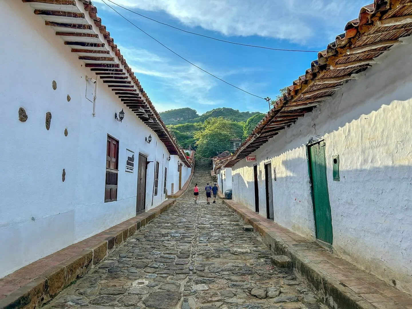 This week&rsquo;s 🌿Wednesday Wandering 🌿 throwback takes us across the globe to my husband&rsquo;s native country of Colombia. 🇨🇴 

I was reminiscing about a walk we did with family in a region where some of his ancestors originate. The trail is 