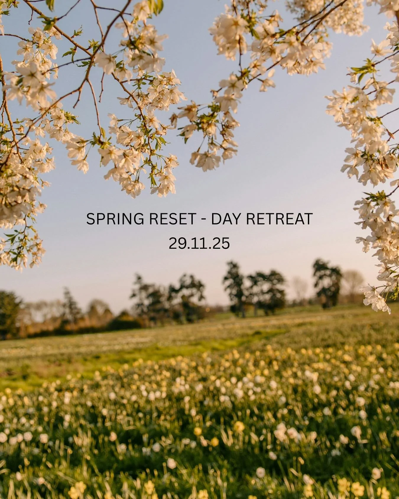 Need a little pause before the Christmas season? 🌿
 Join us for a soulful day at Waterfall Lodge, our peaceful Warkworth sanctuary.

Alongside Bree @thebeingway.co and Vania @vania.co.nz we will be guiding a day of movement, reflection, and creativi