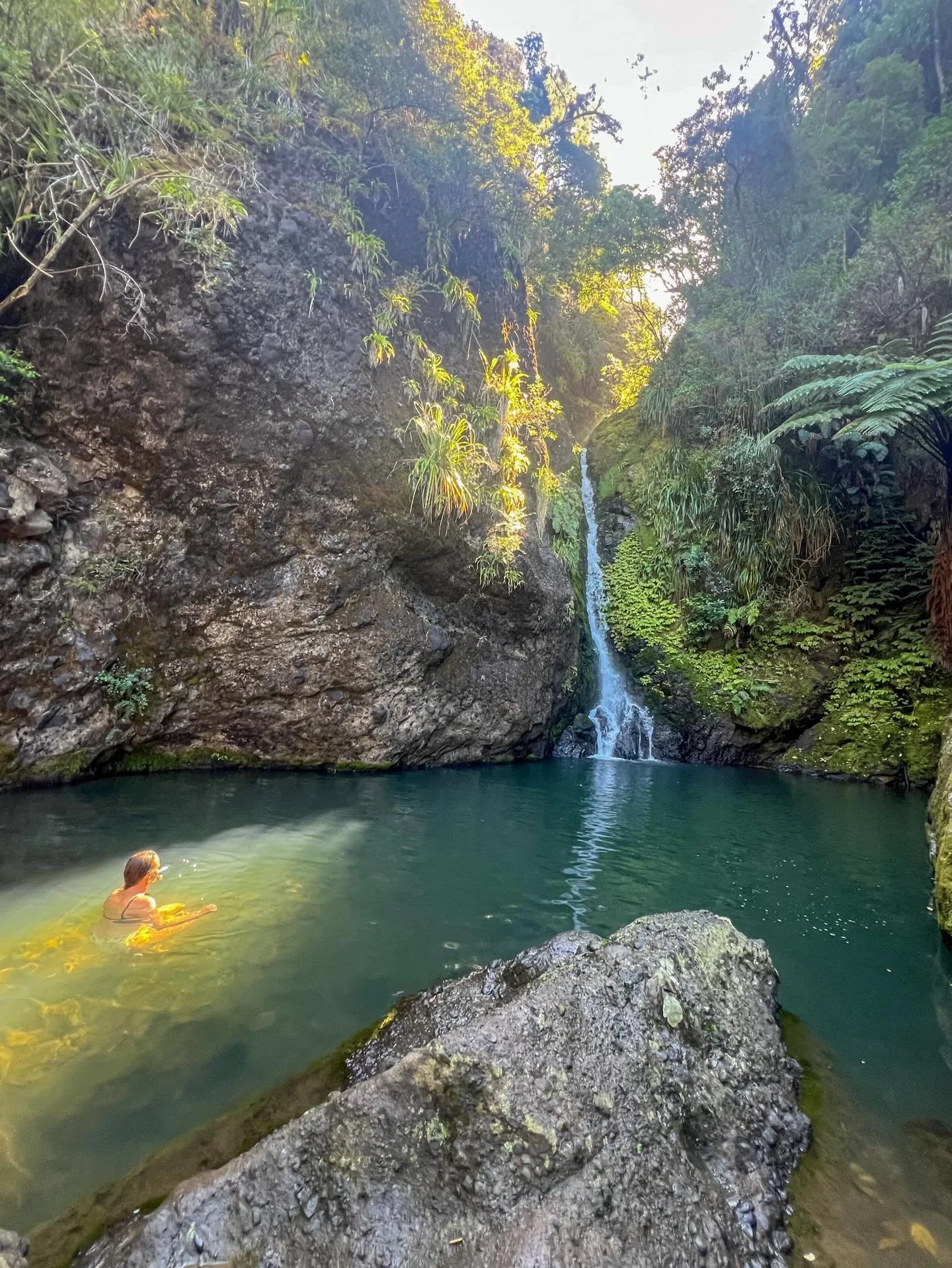 Sharing a little tranquility onto your feed today. In a world that is full of negative news and anxiety induced feelings swirling around. 

A little dose of nature is always my remedy. To remind me of all the good that is available to us here on this