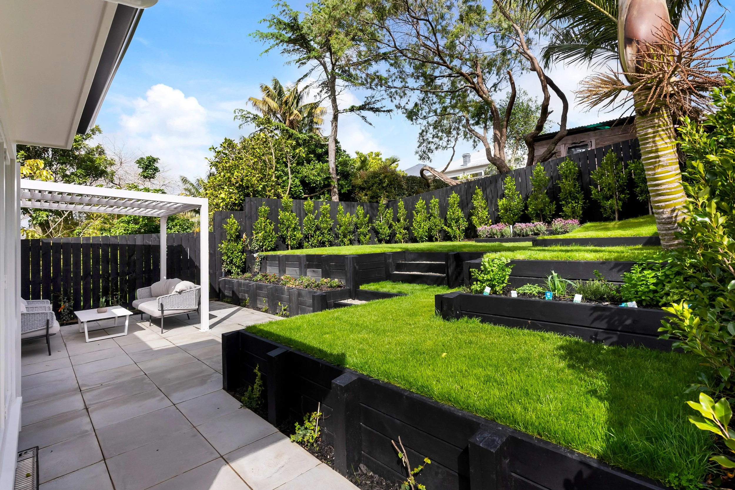 backyard.jpg