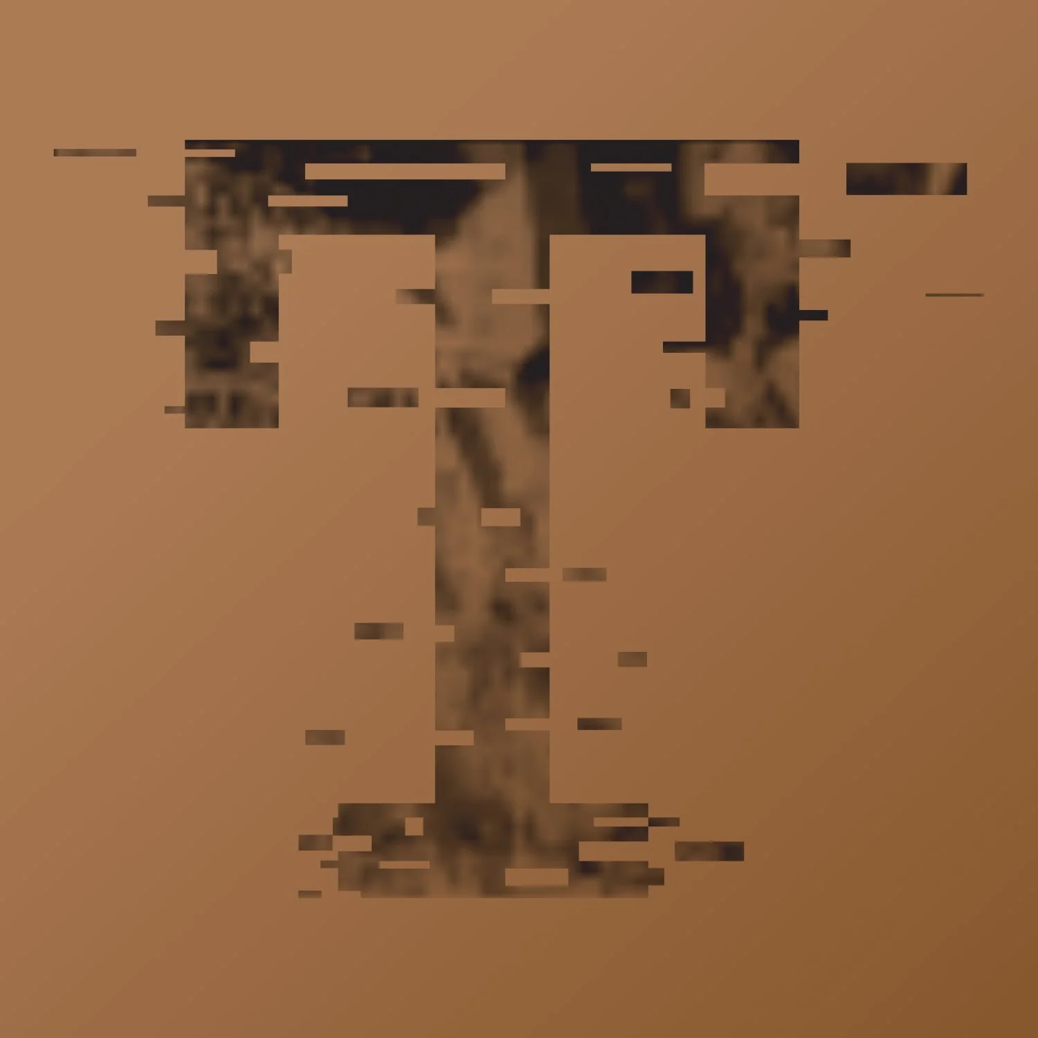T.jpg